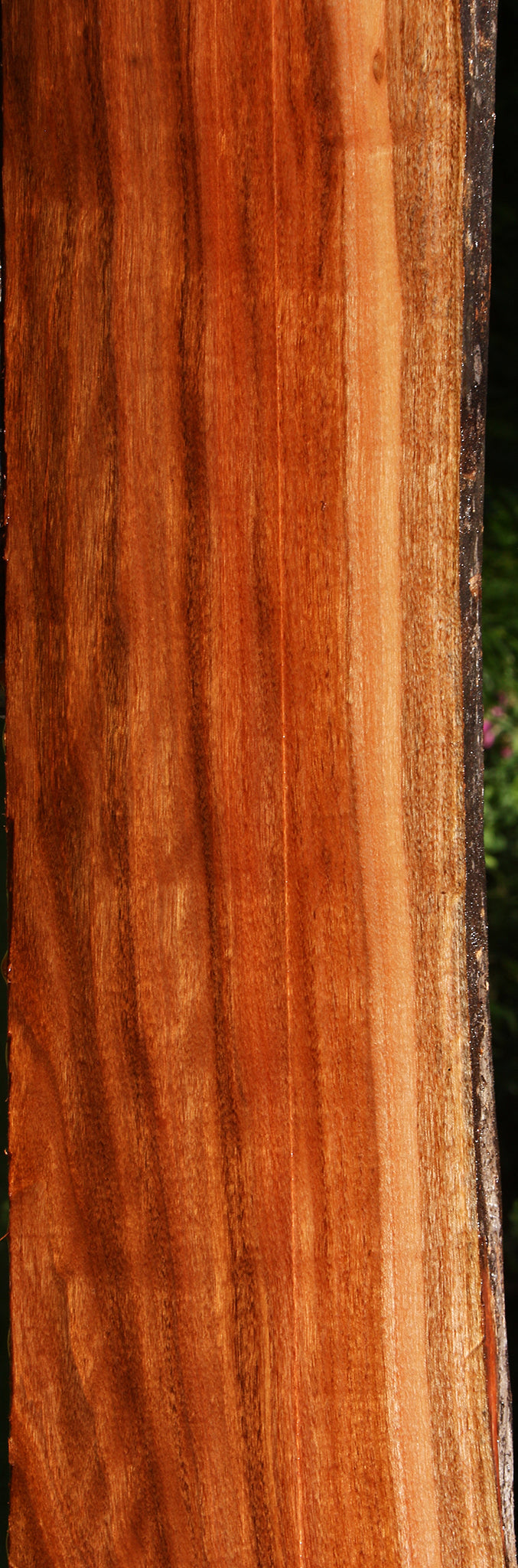 Figured Patagonian Rosewood Live Edge Lumber