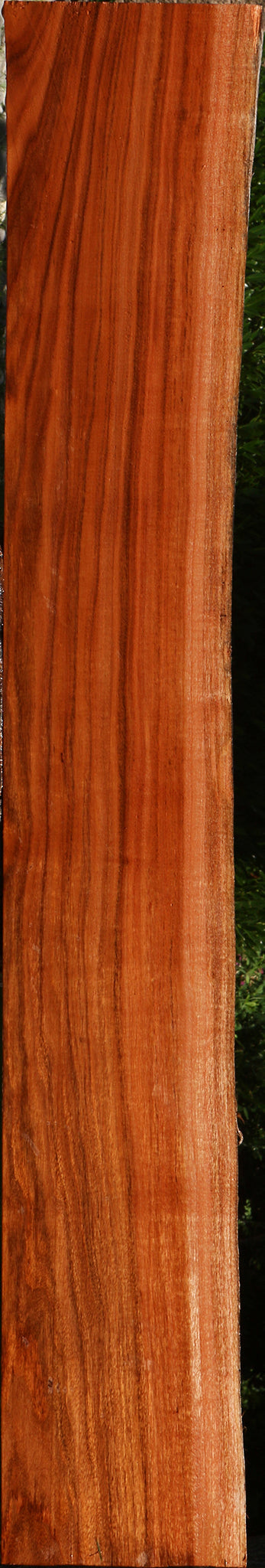 Figured Patagonian Rosewood Live Edge Lumber