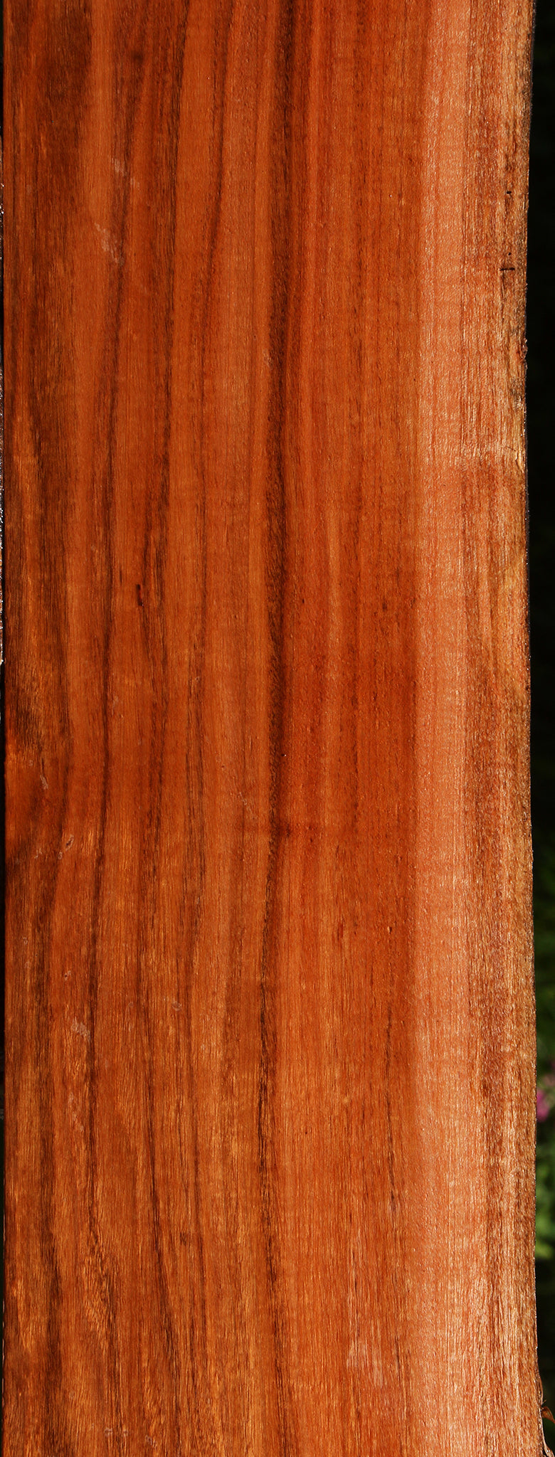 Figured Patagonian Rosewood Live Edge Lumber