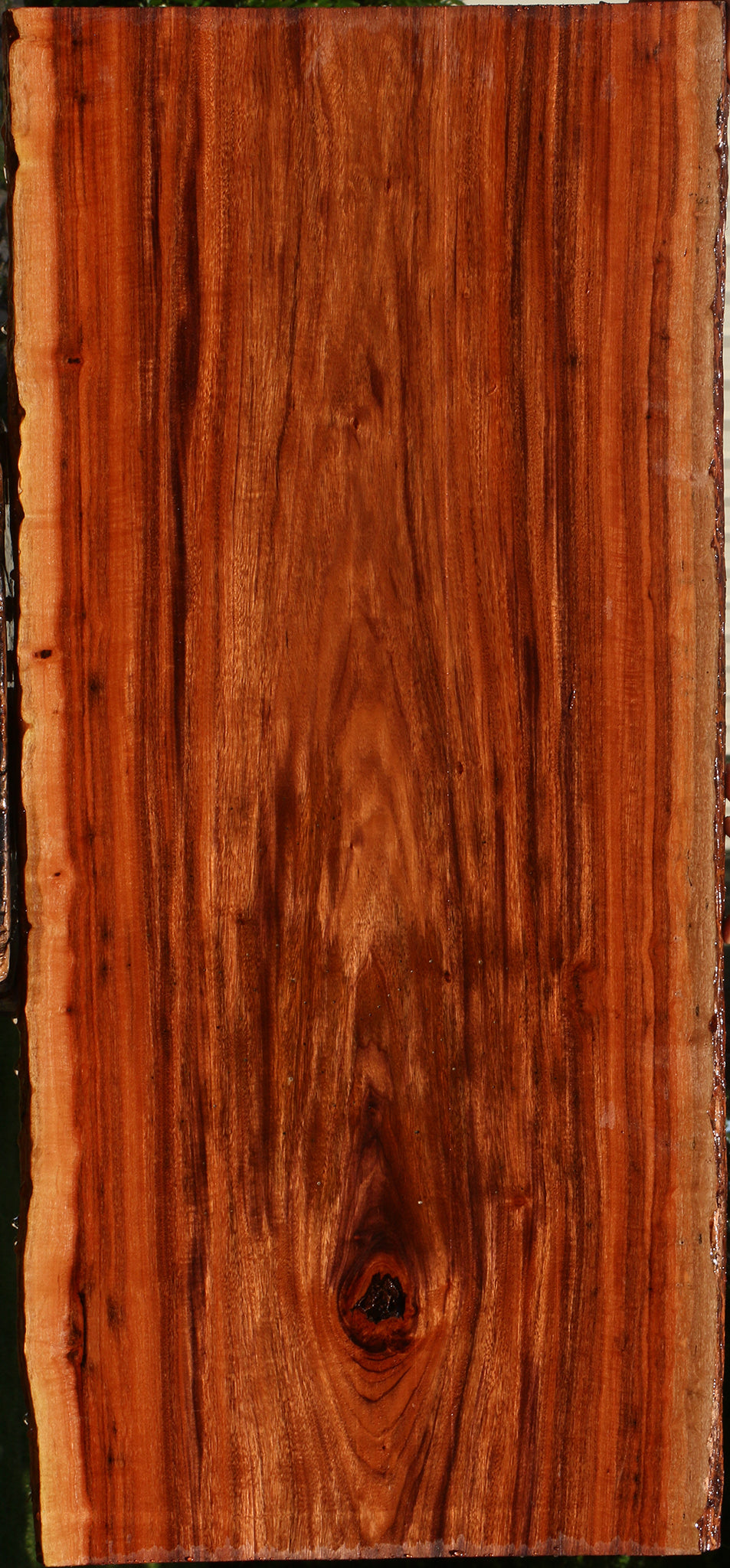 Figured Patagonian Rosewood Live Edge Lumber