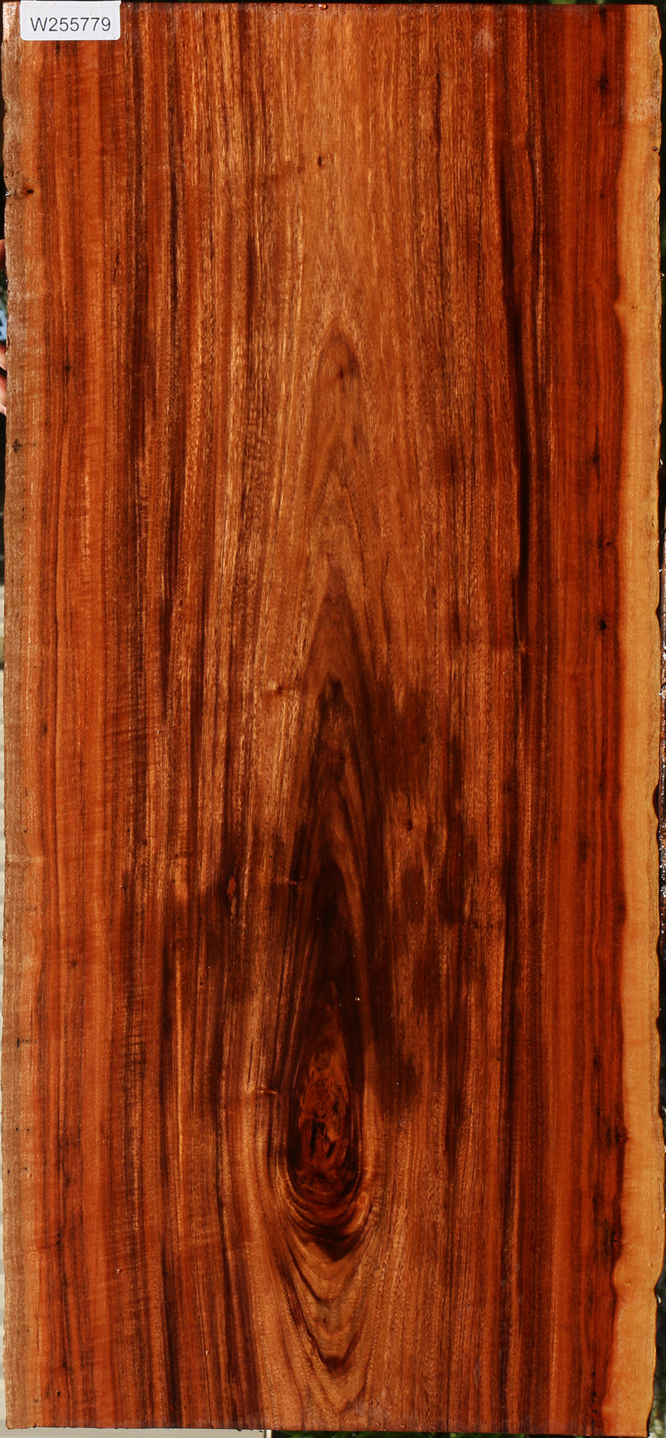 Figured Patagonian Rosewood Live Edge Lumber