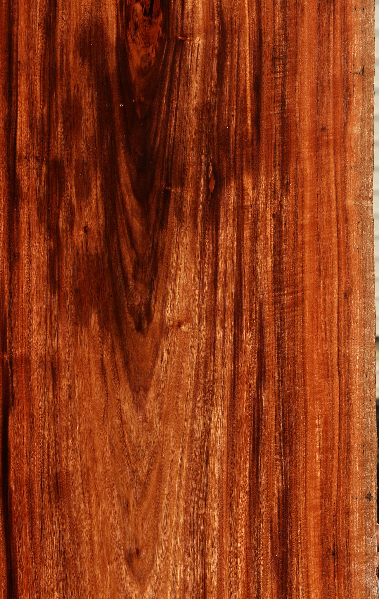 Figured Patagonian Rosewood Live Edge Lumber