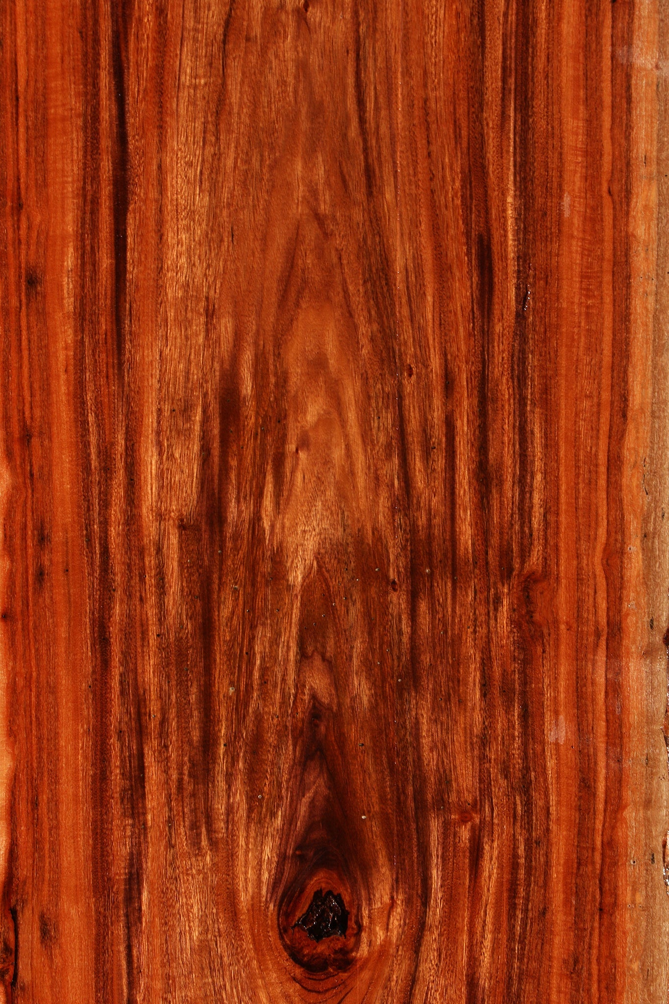 Figured Patagonian Rosewood Live Edge Lumber