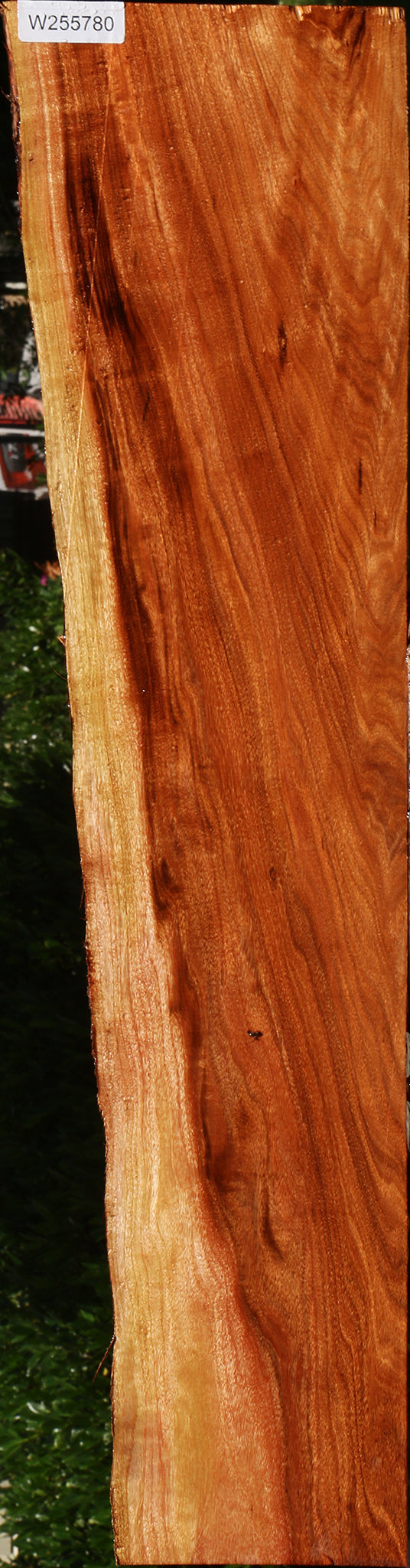 Extra Fancy Patagonian Rosewood Live Edge Lumber