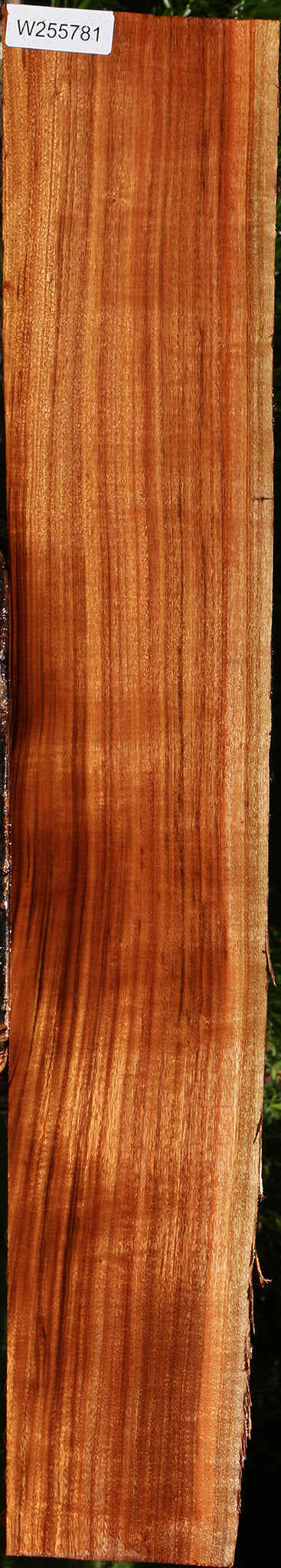 Figured Patagonian Rosewood Live Edge Lumber