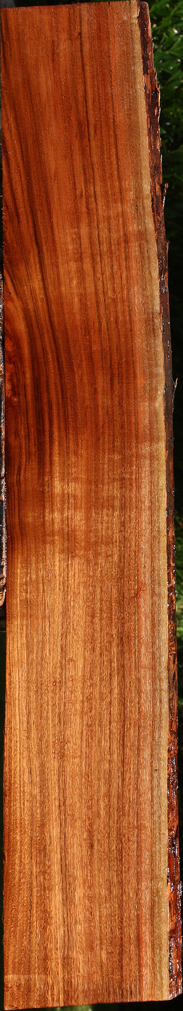 Figured Patagonian Rosewood Live Edge Lumber
