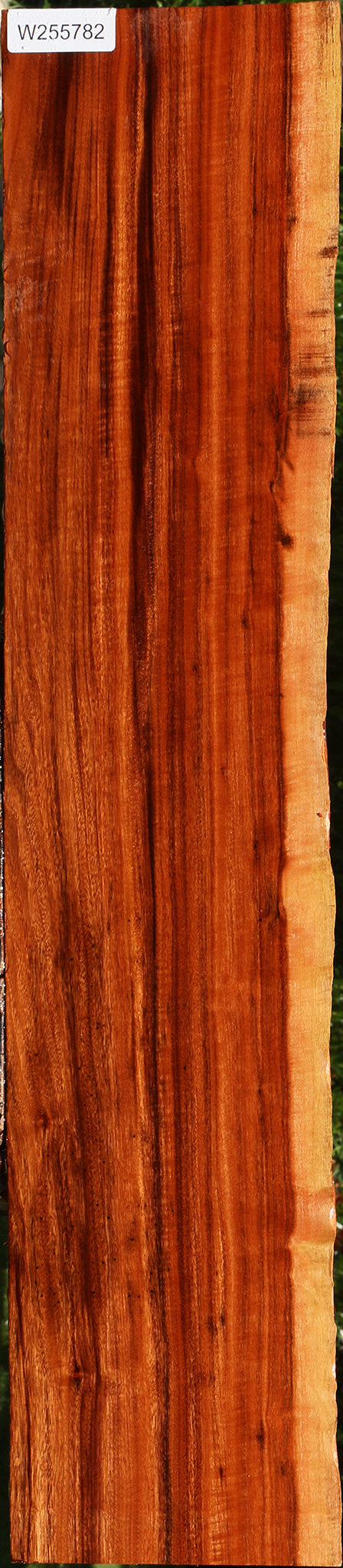 Figured Patagonian Rosewood Live Edge Lumber