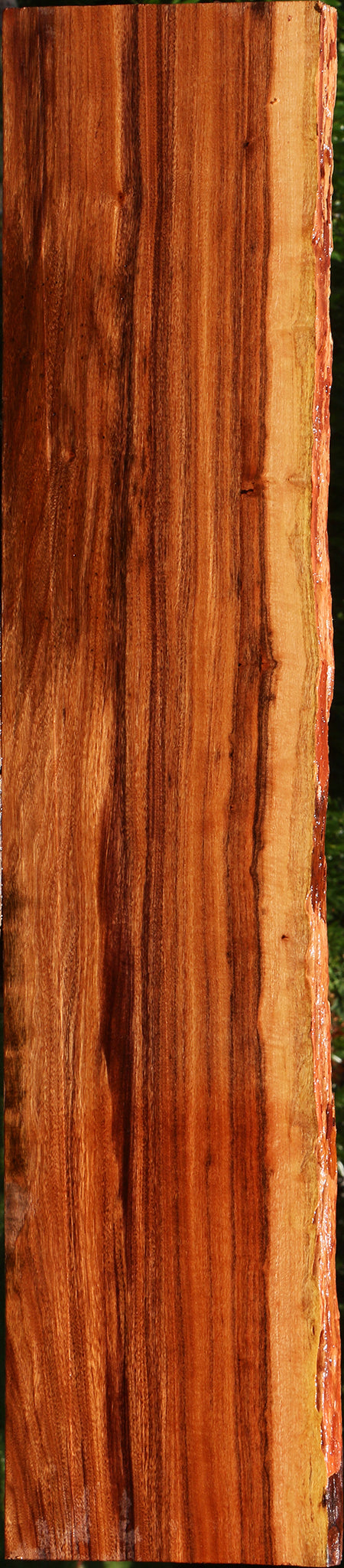 Figured Patagonian Rosewood Live Edge Lumber