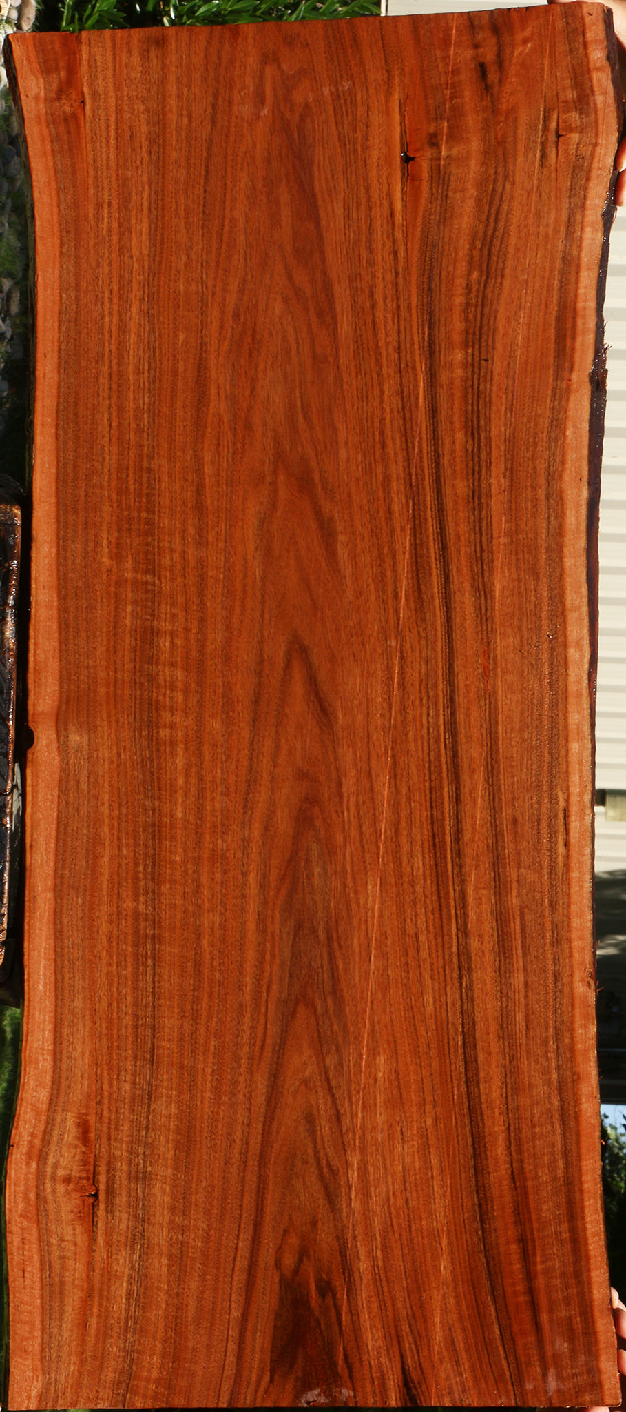 Extra Fancy Patagonian Rosewood Live Edge Lumber