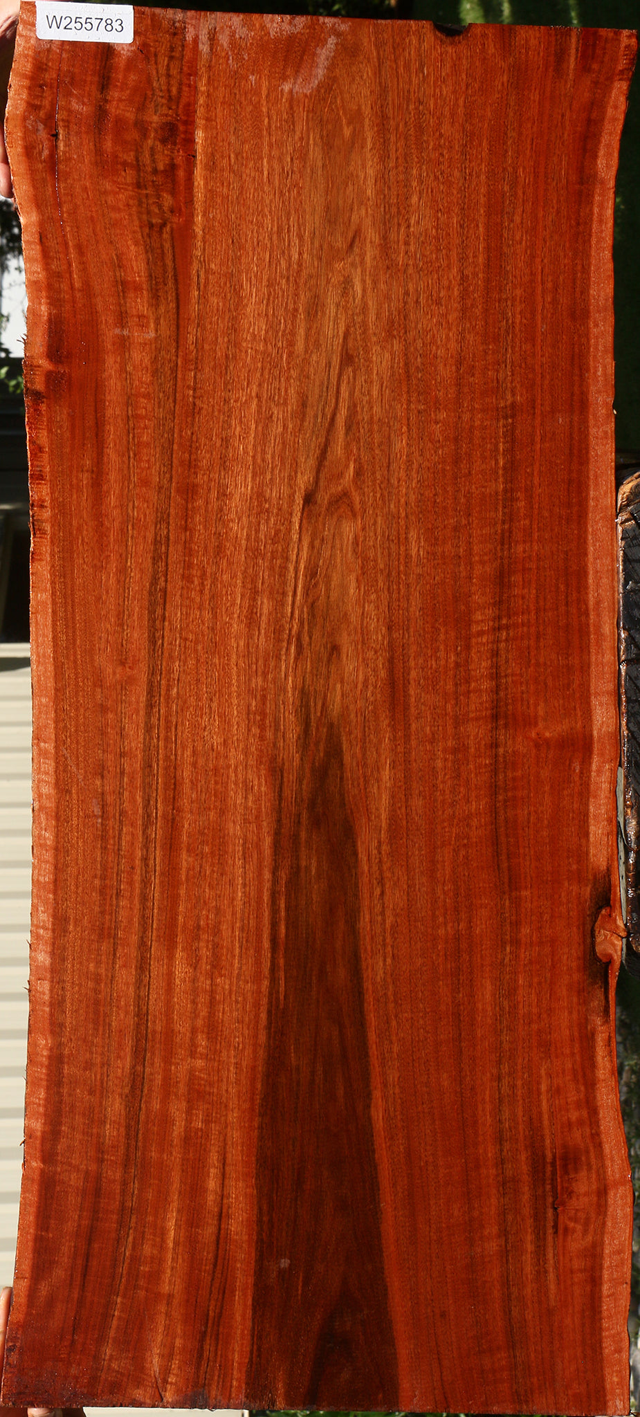 Extra Fancy Patagonian Rosewood Live Edge Lumber