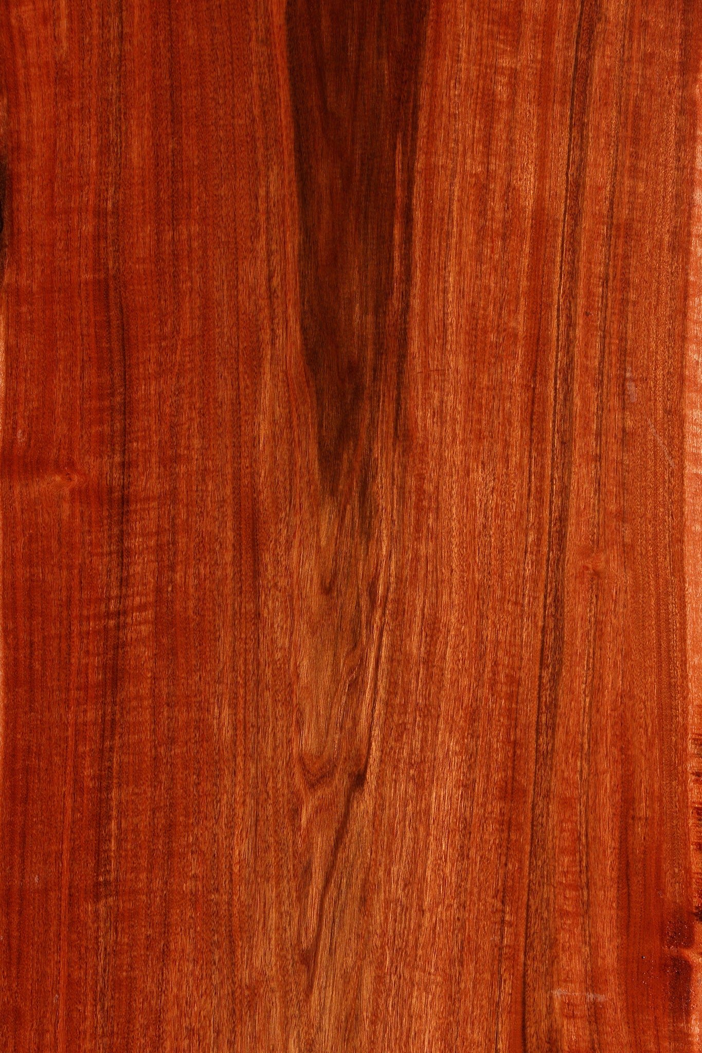 Extra Fancy Patagonian Rosewood Live Edge Lumber