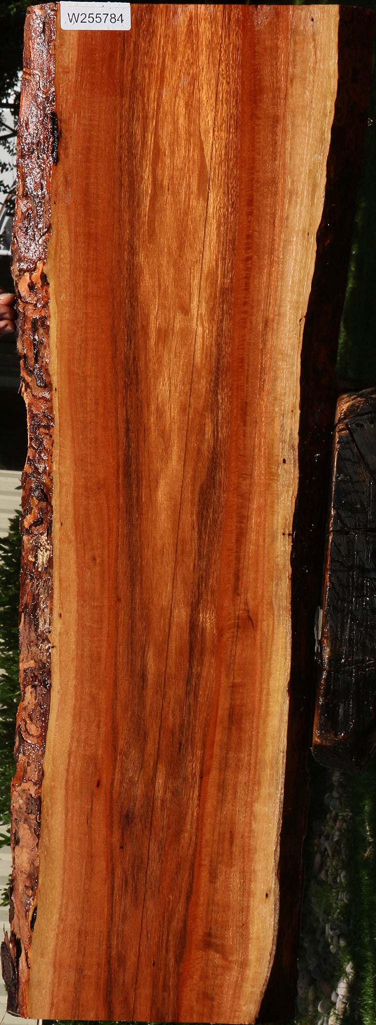 Patagonian Rosewood Live Edge Lumber