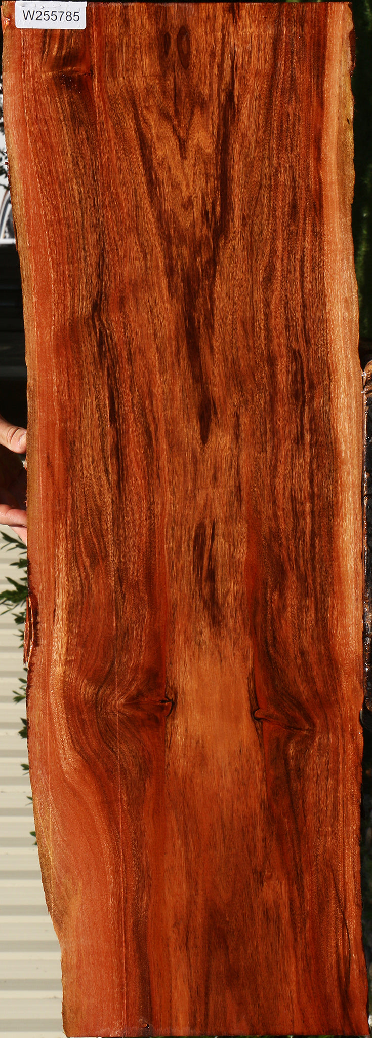 Extra Fancy Patagonian Rosewood Live Edge Lumber