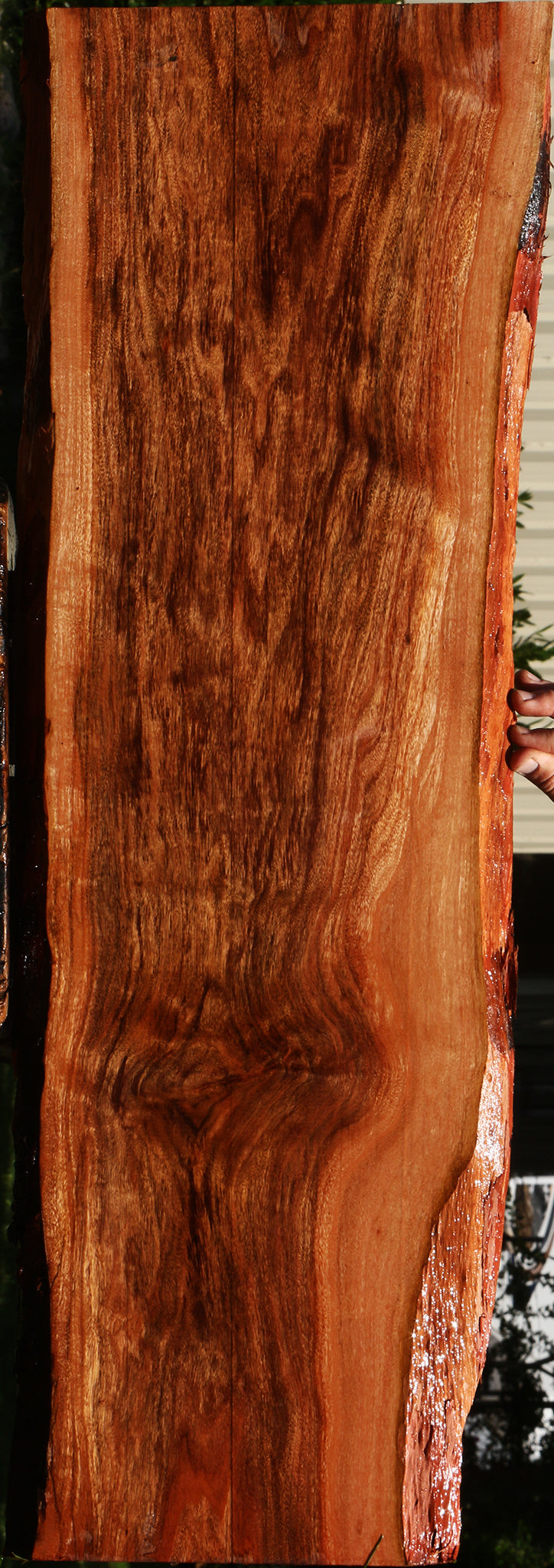 Extra Fancy Patagonian Rosewood Live Edge Lumber