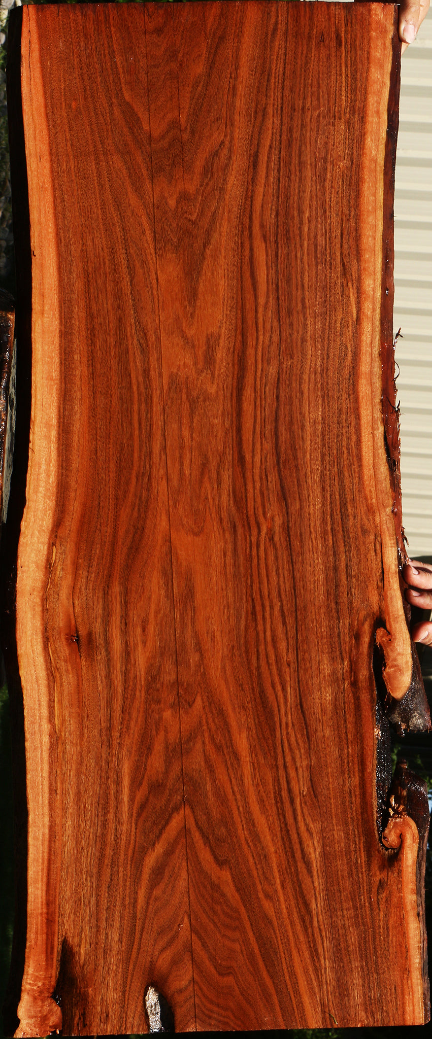 Figured Patagonian Rosewood Live Edge Lumber