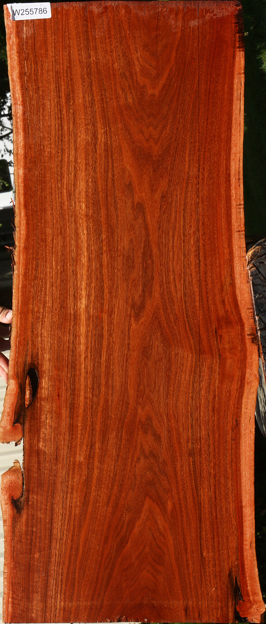 Figured Patagonian Rosewood Live Edge Lumber