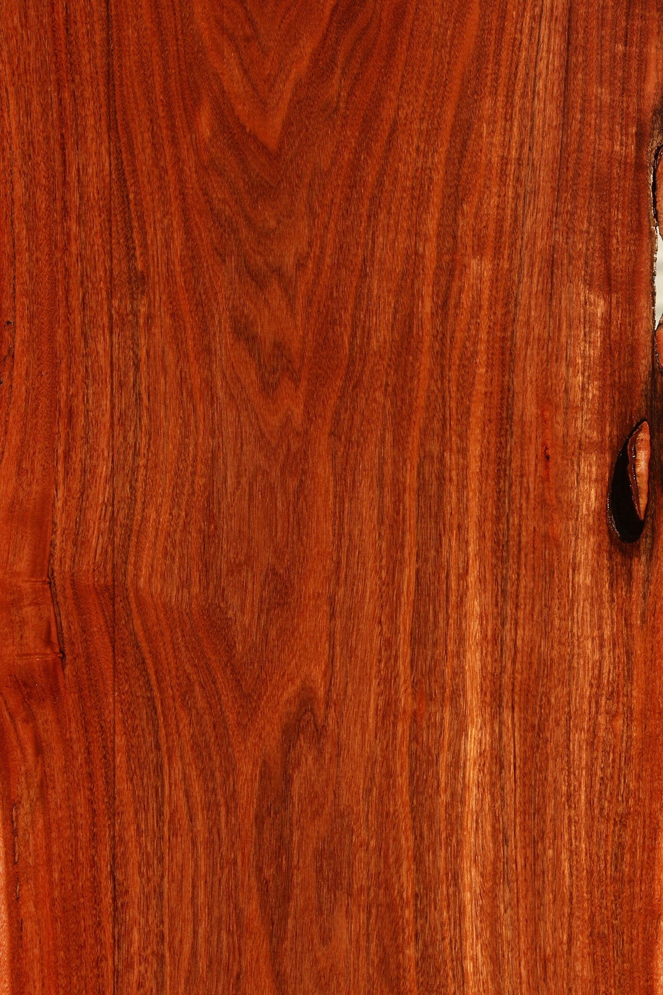 Figured Patagonian Rosewood Live Edge Lumber