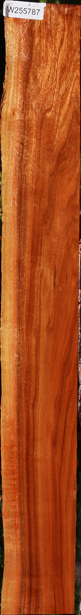 Figured Patagonian Rosewood Live Edge Micro Lumber