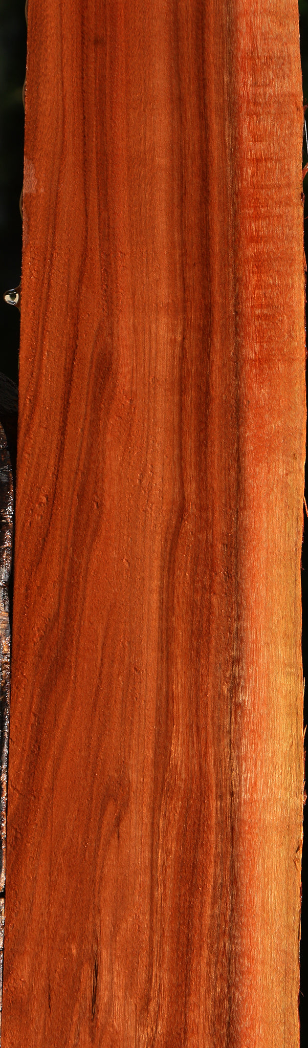 Figured Patagonian Rosewood Live Edge Micro Lumber
