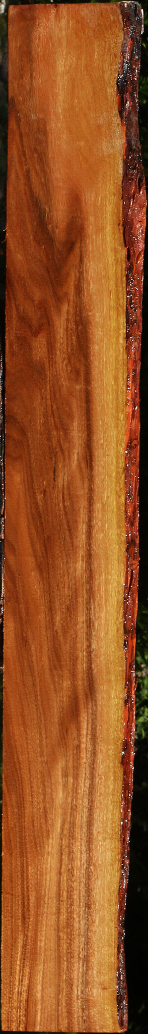 Figured Patagonian Rosewood Live Edge Micro Lumber