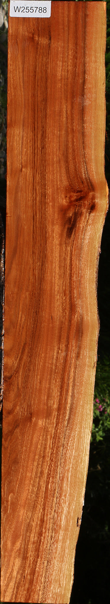 Patagonian Rosewood Live Edge Lumber