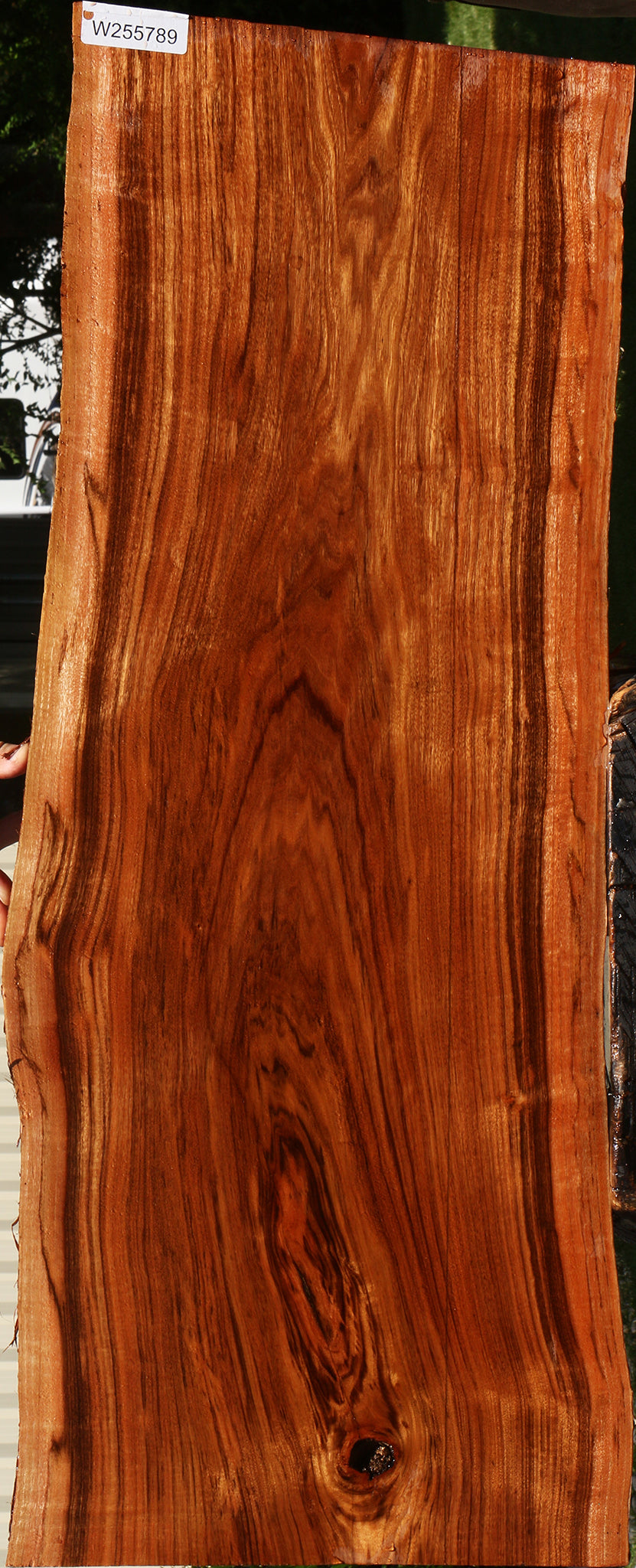 Patagonian Rosewood Live Edge Lumber