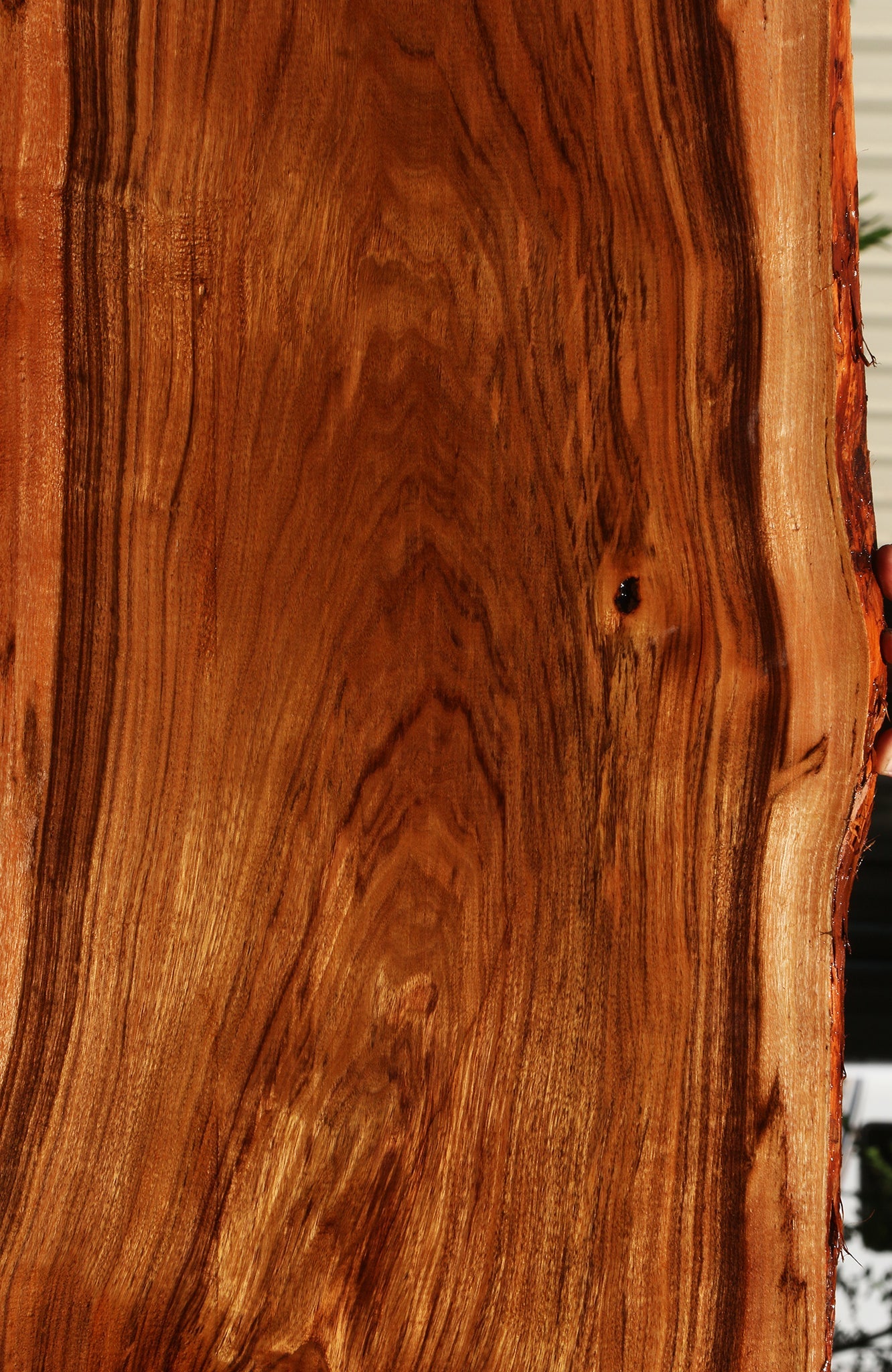 Patagonian Rosewood Live Edge Lumber
