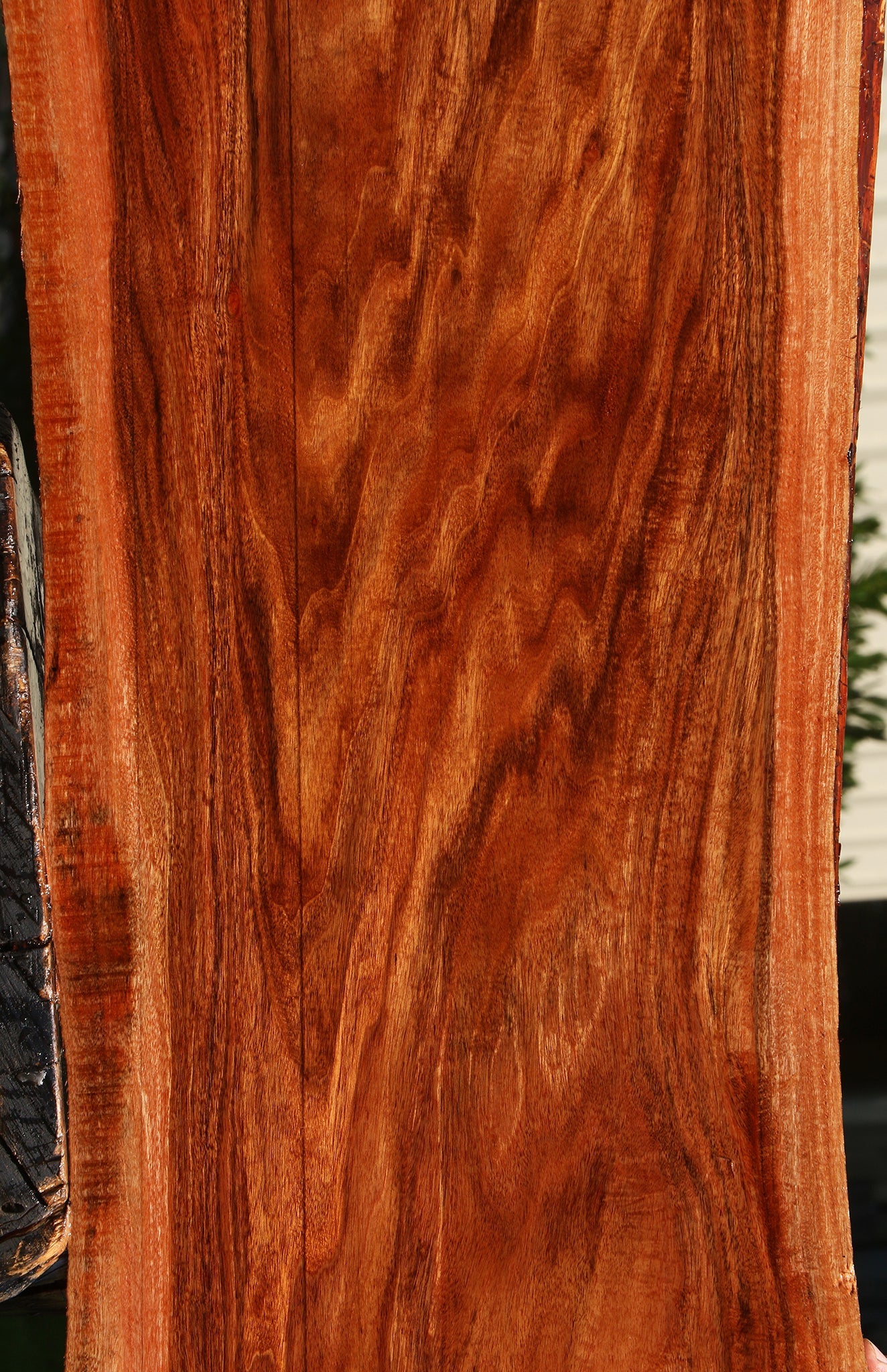 Figured Patagonian Rosewood Live Edge Lumber