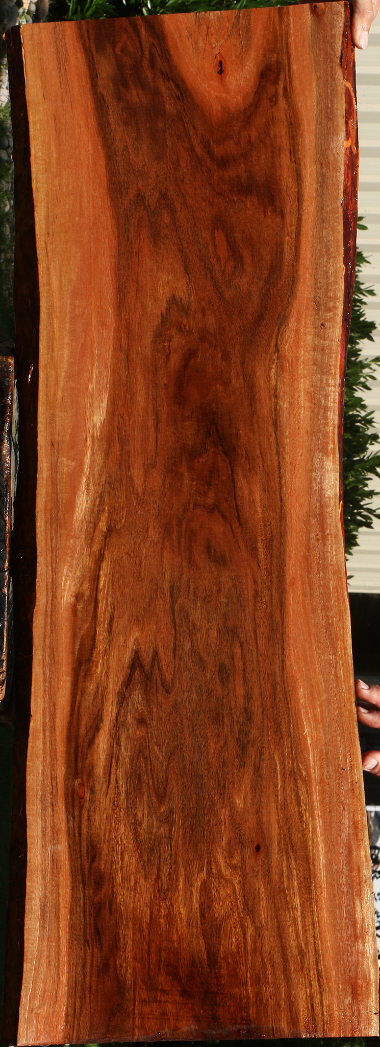 Figured Patagonian Rosewood Live Edge Lumber