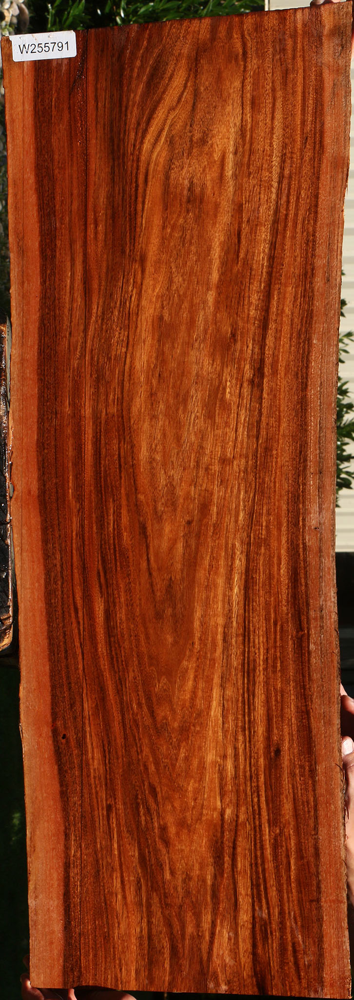 Figured Patagonian Rosewood Live Edge Lumber