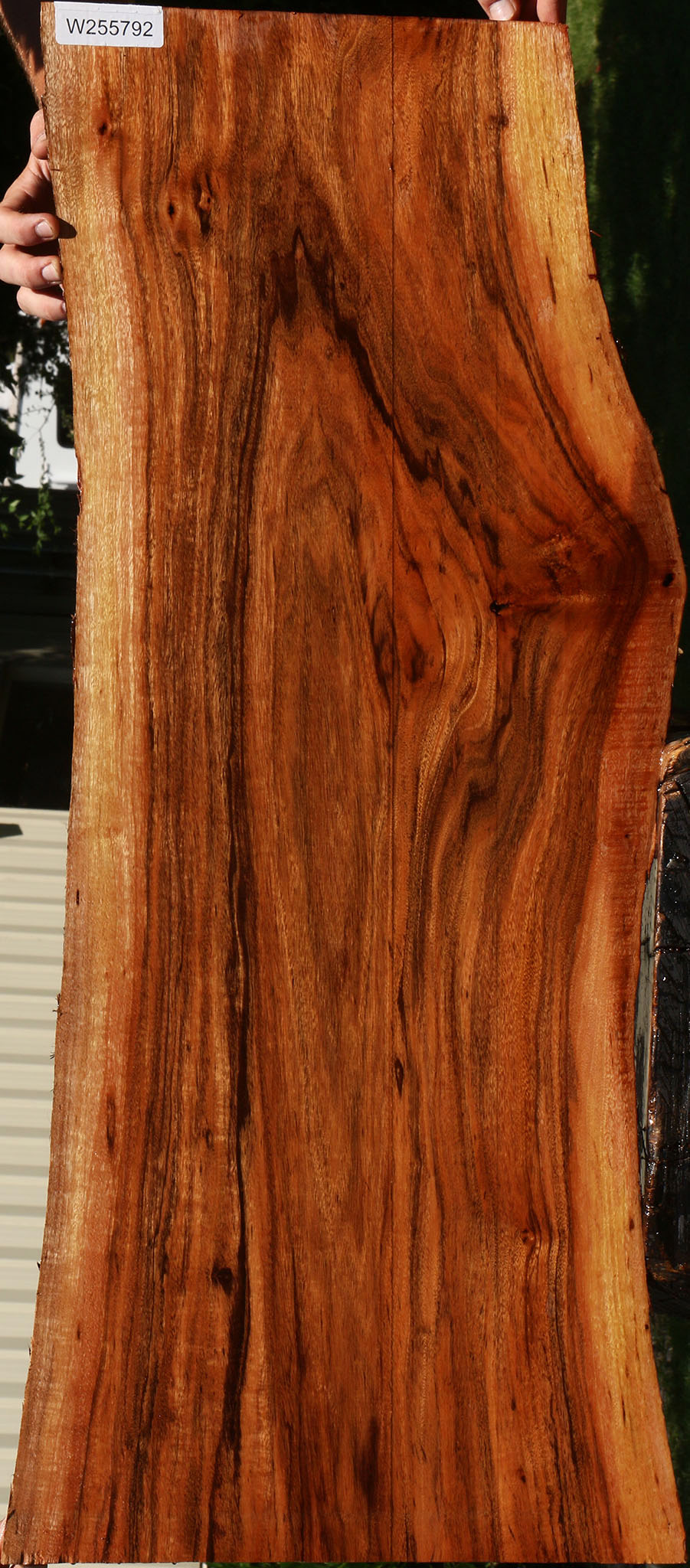 Figured Patagonian Rosewood Live Edge Lumber