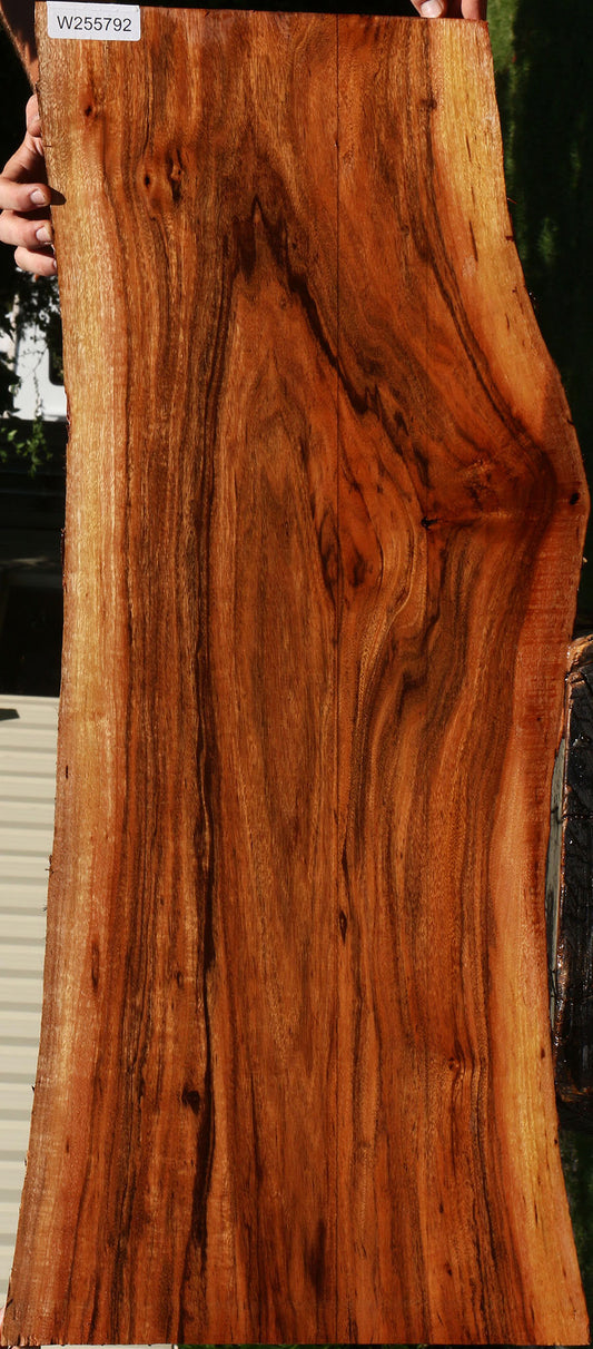 Figured Patagonian Rosewood Live Edge Lumber