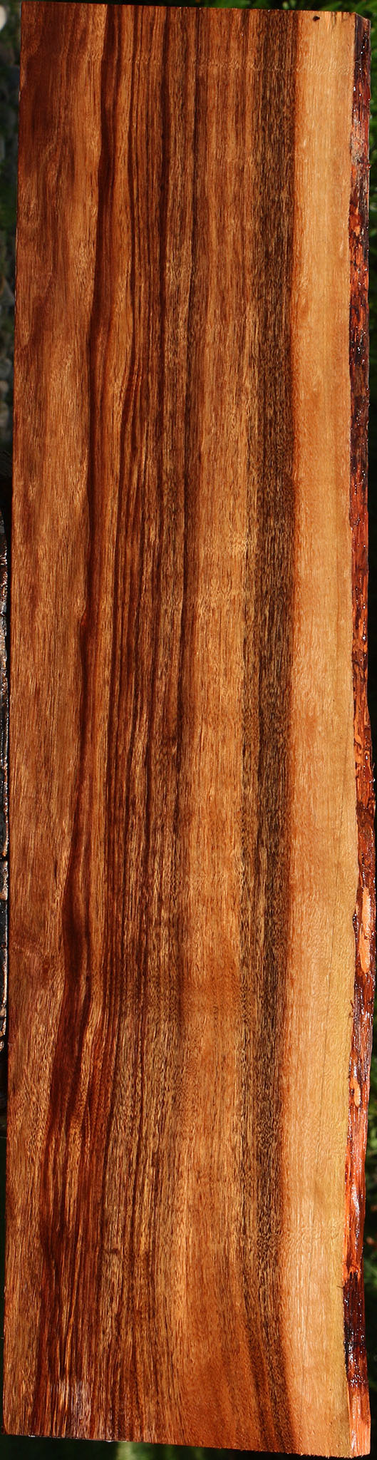 Figured Patagonian Rosewood Live Edge Lumber