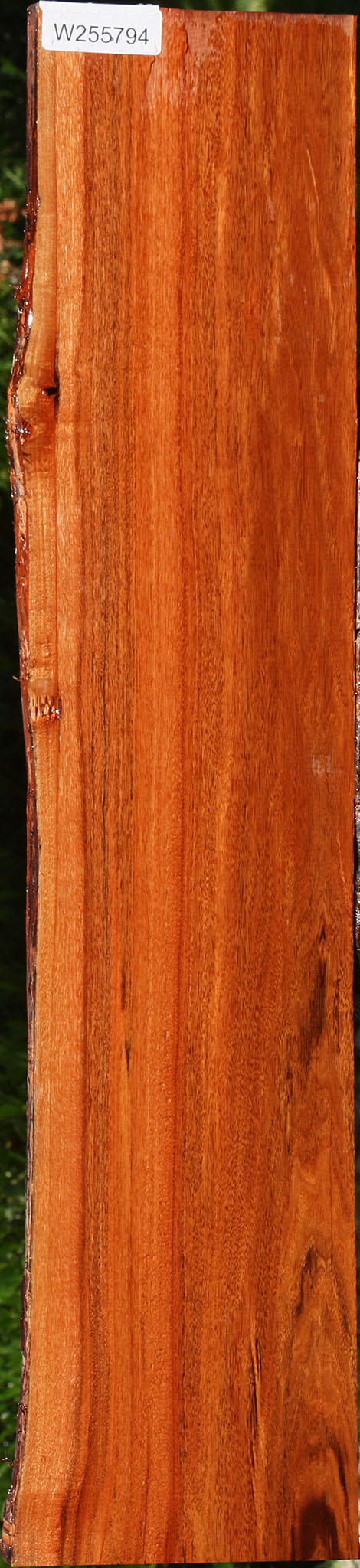Patagonian Rosewood Live Edge Lumber