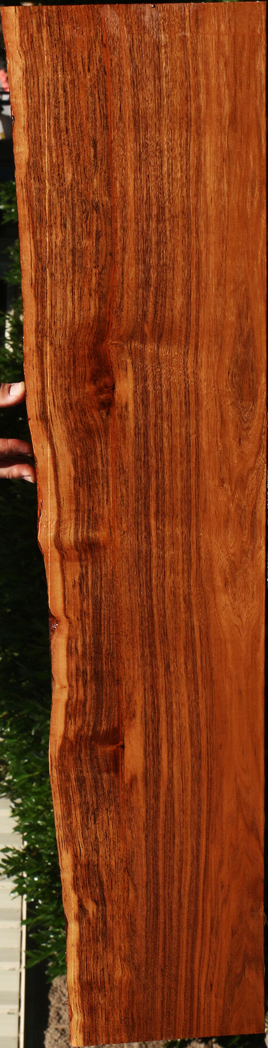 Patagonian Rosewood Live Edge Lumber