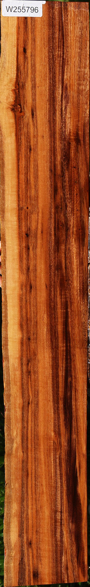 Extra Fancy Patagonian Rosewood Live Edge Micro Lumber
