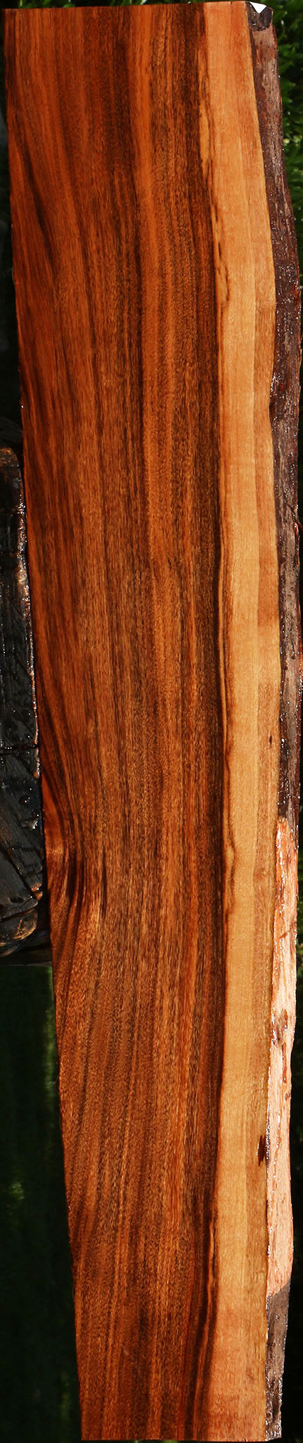 Patagonian Rosewood Live Edge Lumber