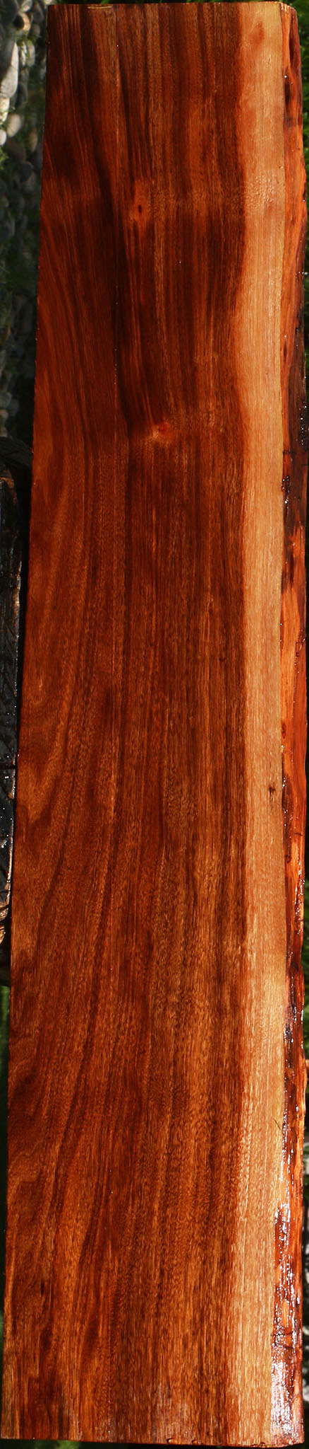 Patagonian Rosewood Live Edge Lumber