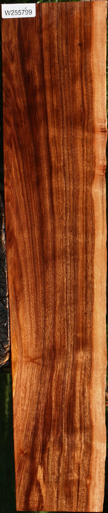 Patagonian Rosewood Live Edge Lumber