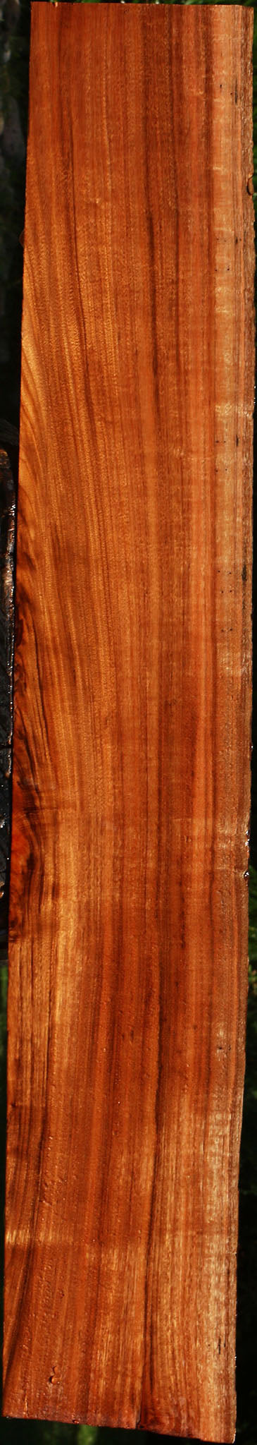 Figured Patagonian Rosewood Live Edge Lumber