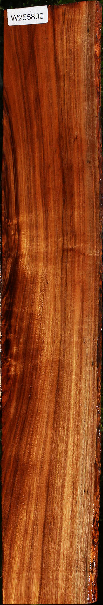 Figured Patagonian Rosewood Live Edge Lumber