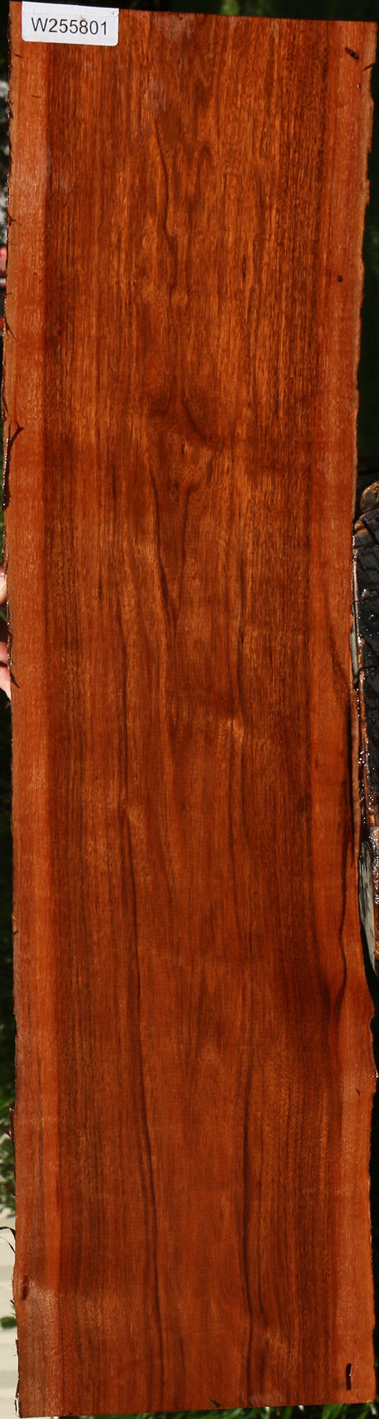 Figured Patagonian Rosewood Live Edge Lumber