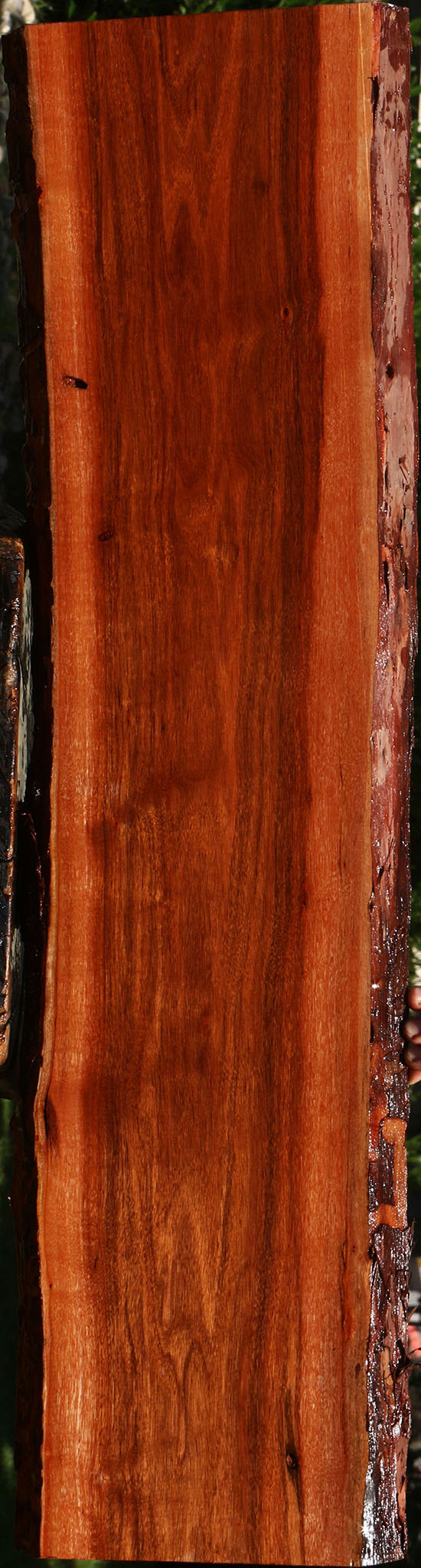 Figured Patagonian Rosewood Live Edge Lumber