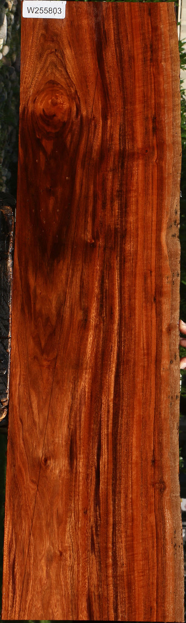 Patagonian Rosewood Live Edge Micro Lumber