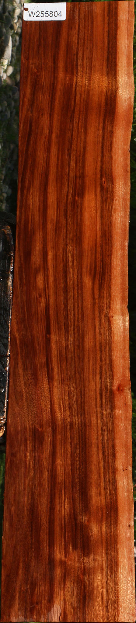 Figured Patagonian Rosewood Live Edge Lumber