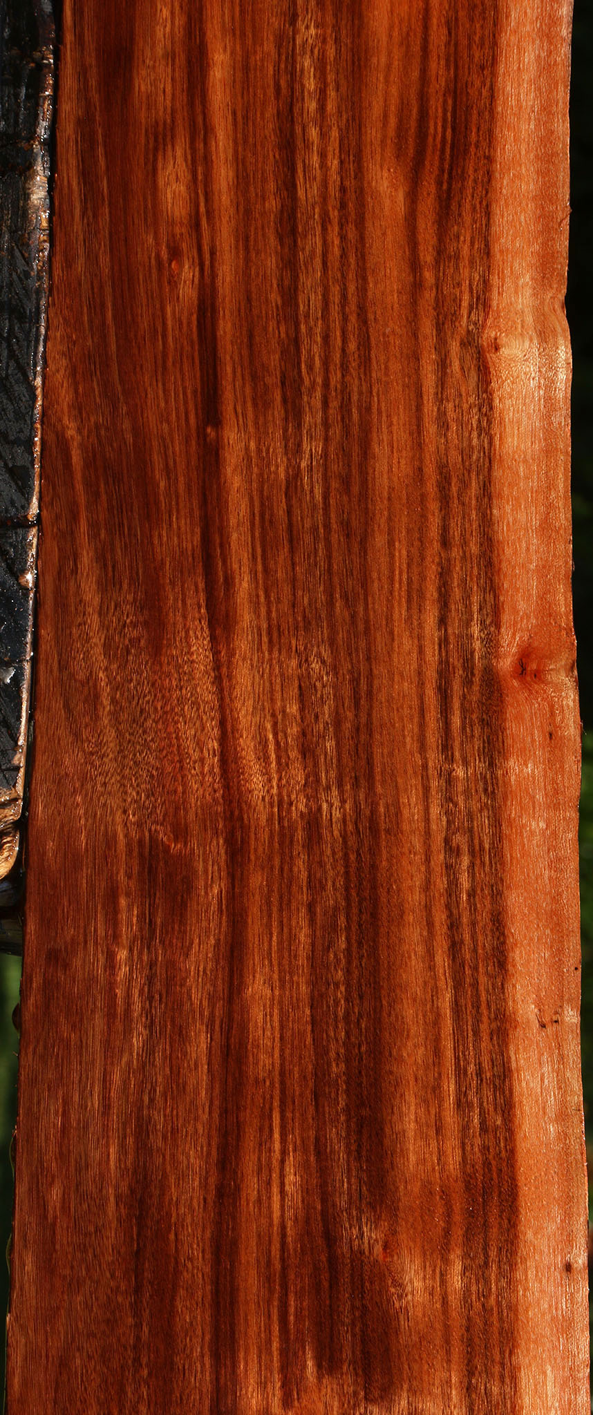 Figured Patagonian Rosewood Live Edge Lumber