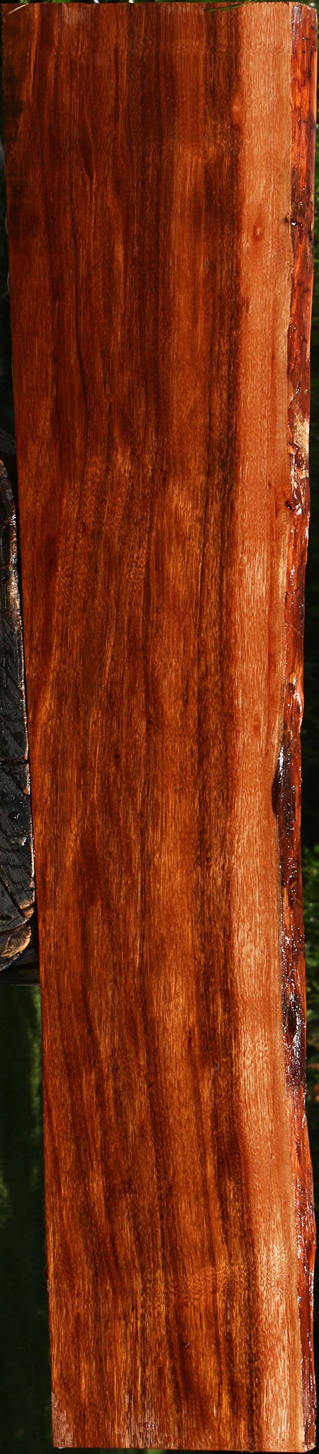 Figured Patagonian Rosewood Live Edge Lumber