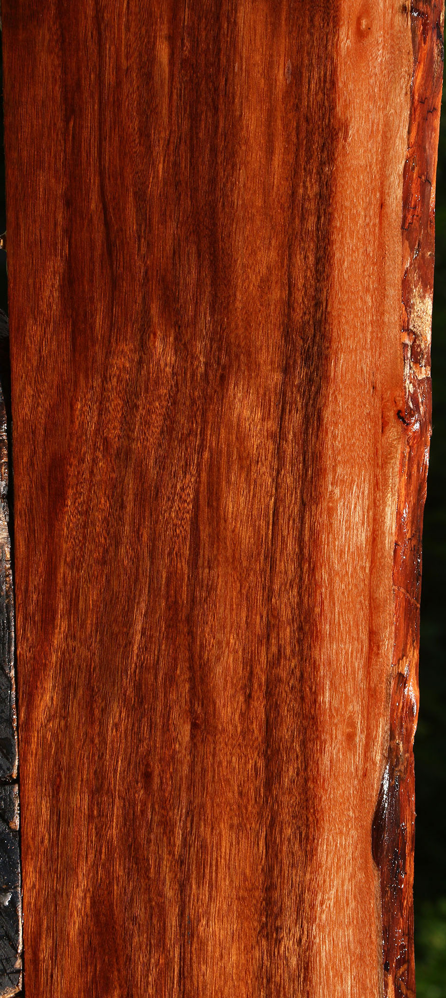 Figured Patagonian Rosewood Live Edge Lumber