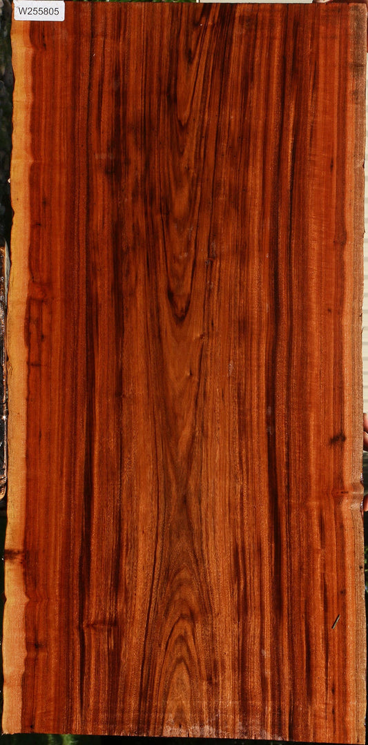 Figured Patagonian Rosewood Live Edge Lumber