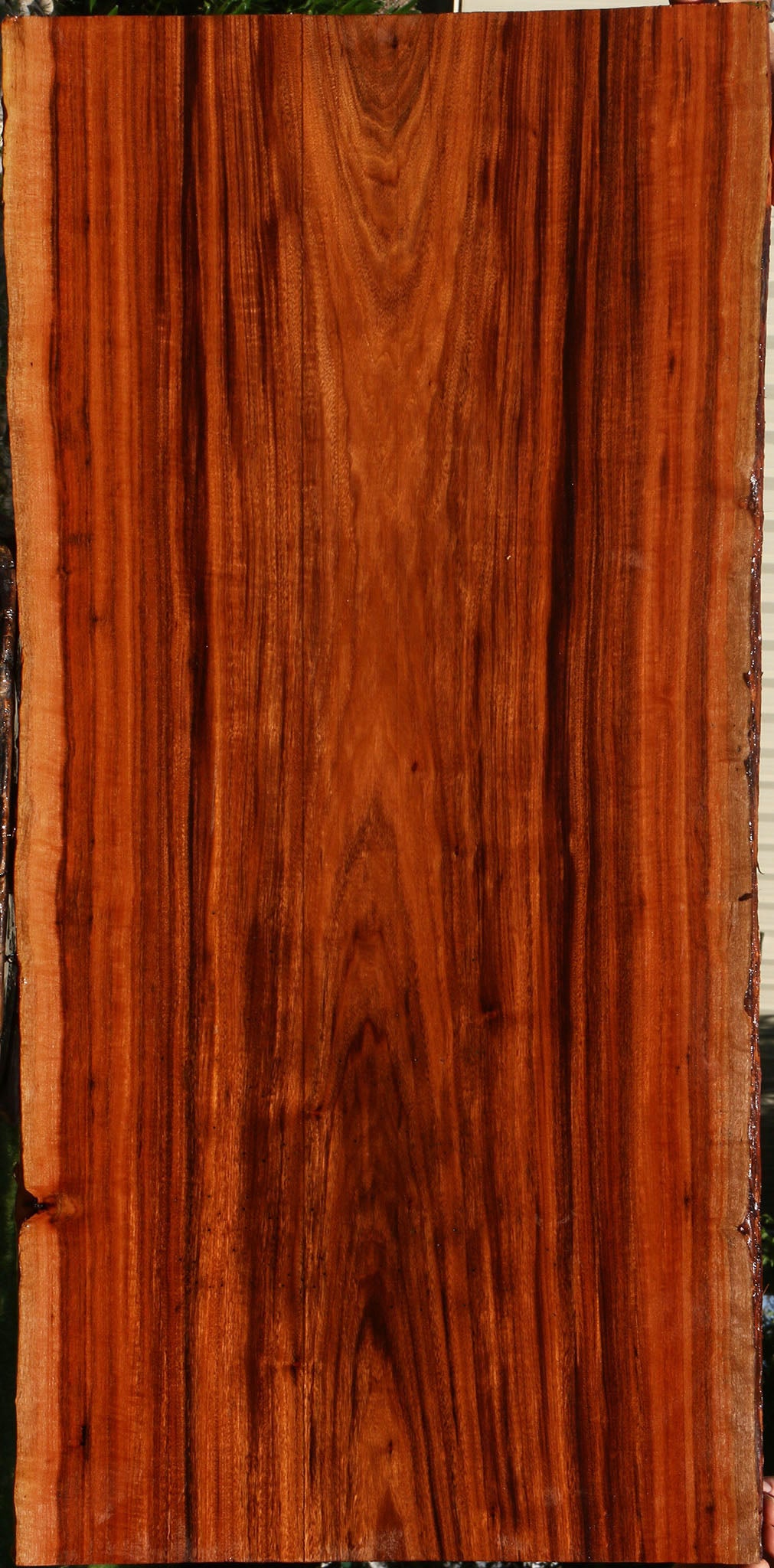Figured Patagonian Rosewood Live Edge Lumber
